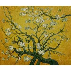  Oil Painting   Van Gogh Paintings Branches of an Almond Tree 
