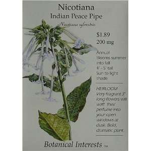  Nicotiana Seeds Indian Peace Pipe Heirloom Seeds 300 Seeds 