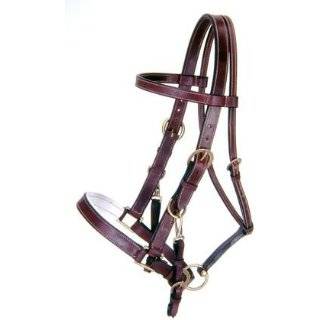  Australian Outrider Collection Aussie Leather Bridle 