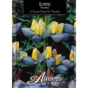 Aimers 3238 Lupine Sunrise Seed Packet Patio, Lawn 