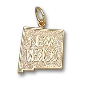  State Of New Mexico 1/2 Charm/Pendant
