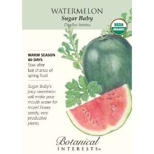  Watermelon Sugar Baby Certified Organic Seeds Patio, Lawn 
