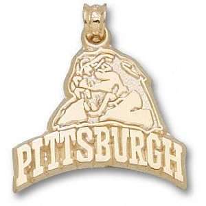   PITTSBURGH Panther Head Pendant 