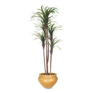  Nu Dell   Artificial Dracaena Tree, 6ft Overall Height 