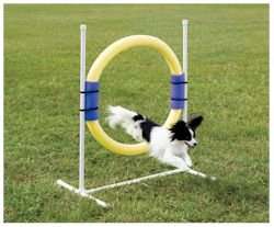 PetSafe Dog Agility Training Equipment   Ring Jump  