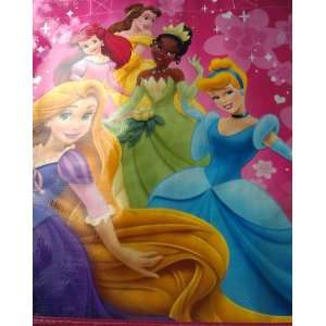  Disney Princess Reusable Tote Bag: Everything Else