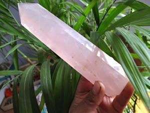 NEW*mystical LONG NATURAL ROSE QUARTZ CRYSTAL POINT Healing +FREE GIFT 