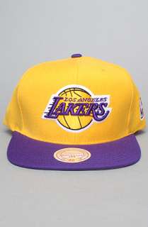 Mitchell & Ness The NBA Wool Snapback Hat in Gold Purple  Karmaloop 