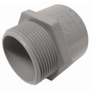 Cantex 3/4 in. Male Terminal Adapter R5140104 