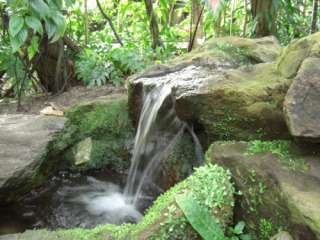 Ein Wasserfall im botanischen Garten aufgenommen mit der Best Shot 