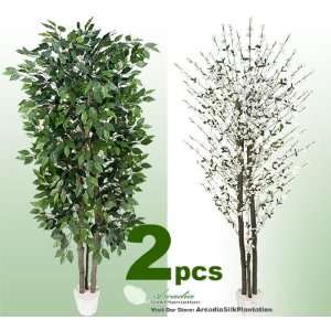 com TWO 7 Artificial Trees   Very Full Ficus + White Cherry Blossom 