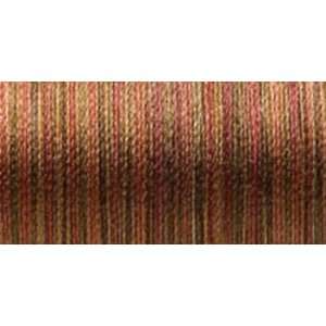   : Sulky Blendables Thread 12 Weight 330 Yards Carame: Everything Else