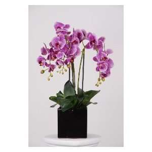  Artificial Triple stem Phalaenopsis Orchid Arrangement 