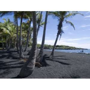  Punaluu Black Sand Beach, Island of Hawaii (Big Island 