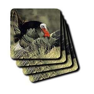   Wild Turkey Gobbler   Set Of 4 Ceramic Tile Coasters