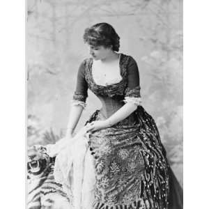  c1882 photo Lillie Langtry, three quarter length 13505098 