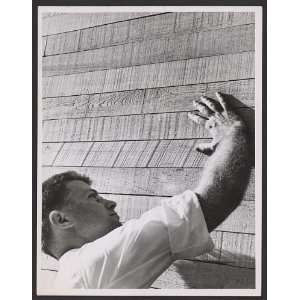  Paul Rudolph,placing hand against textured wood siding 
