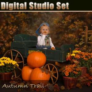 Fall Digital Background & Photo Prop   Photoshop Files   Autumn Trail 