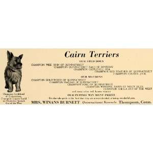   Ad Cairn Terriers Quinnatisset Kennels Dog Burnett   Original Print Ad