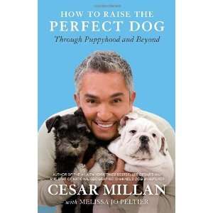  Perfect Dog Through Puppyhood and Beyond Paperback By Millan, Cesar 