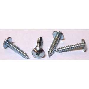 Self Tapping Screws Phillips / Truss Head / Type AB / 18 8 