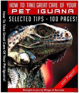 Iguana Care green cage diet heat desert feed pet info +  