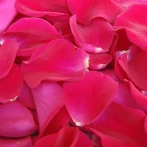    500 Fresh Rose Petals Hot pink Watermelon Patio, Lawn & Garden