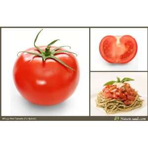  Nature Seeds F1 Hybrid Tomato 20 Vegetable / Fruit / Herb 