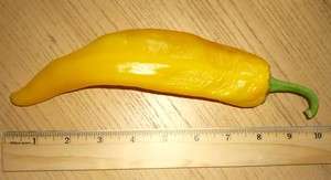   MARCONI BIG DADDY LONG SWEET YELLOW PEPPER SEEDS  PEPPERS 8 10 LONG
